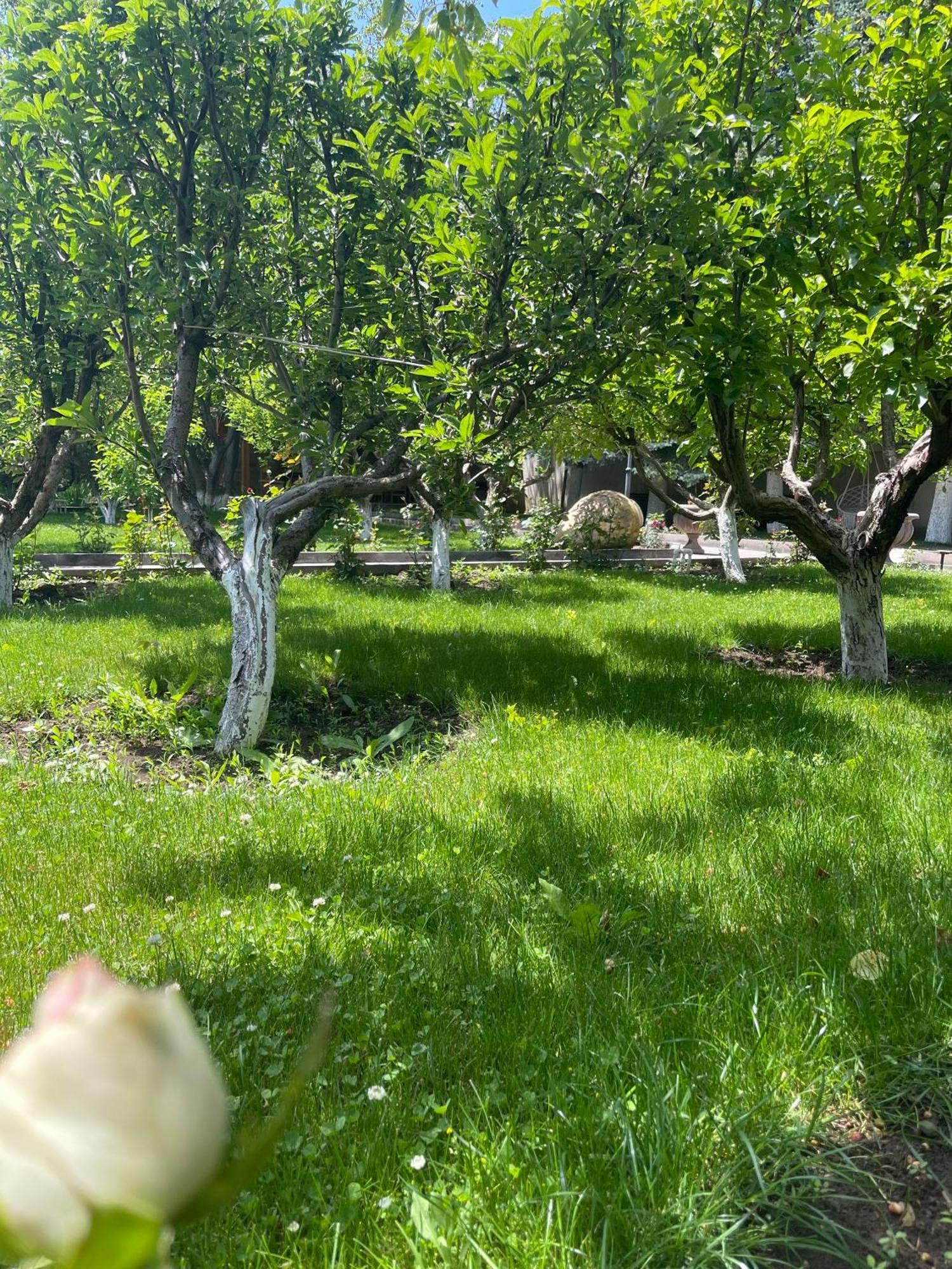 In Gyumri Hotell Exteriör bild